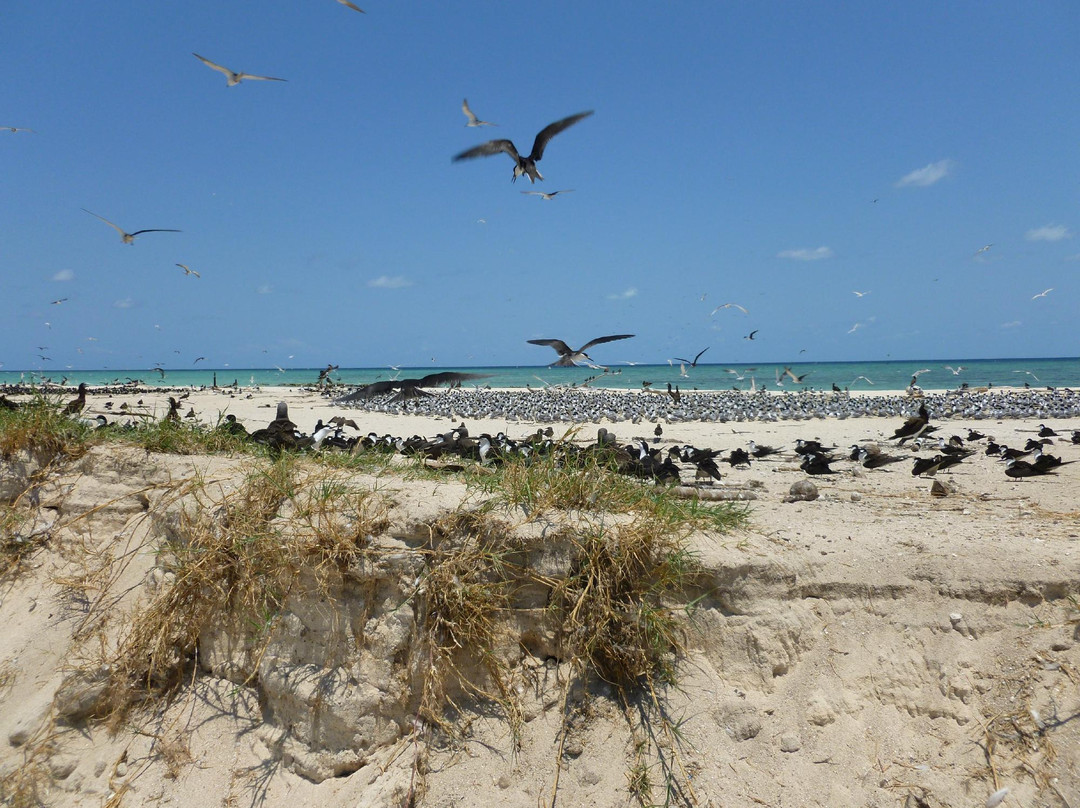 麦克拉斯沙岛-凯恩斯必去景点