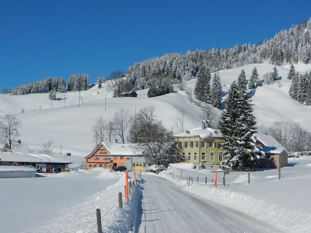 Urnaesch餐馆和美食-Restaurant Schönau