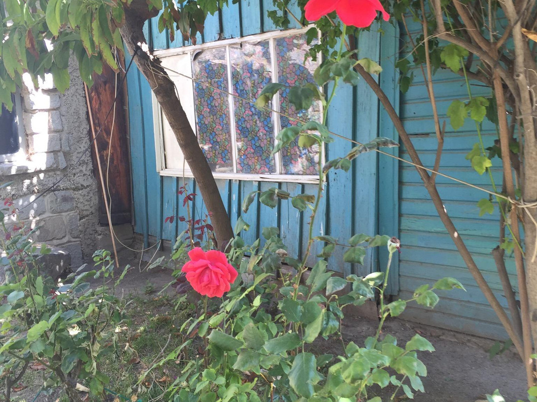 Hostal Los Pinos