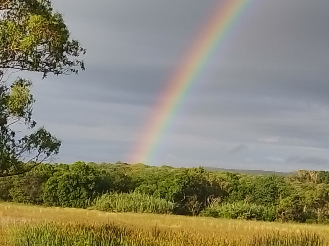 Imbabali Retreat & Venue主图