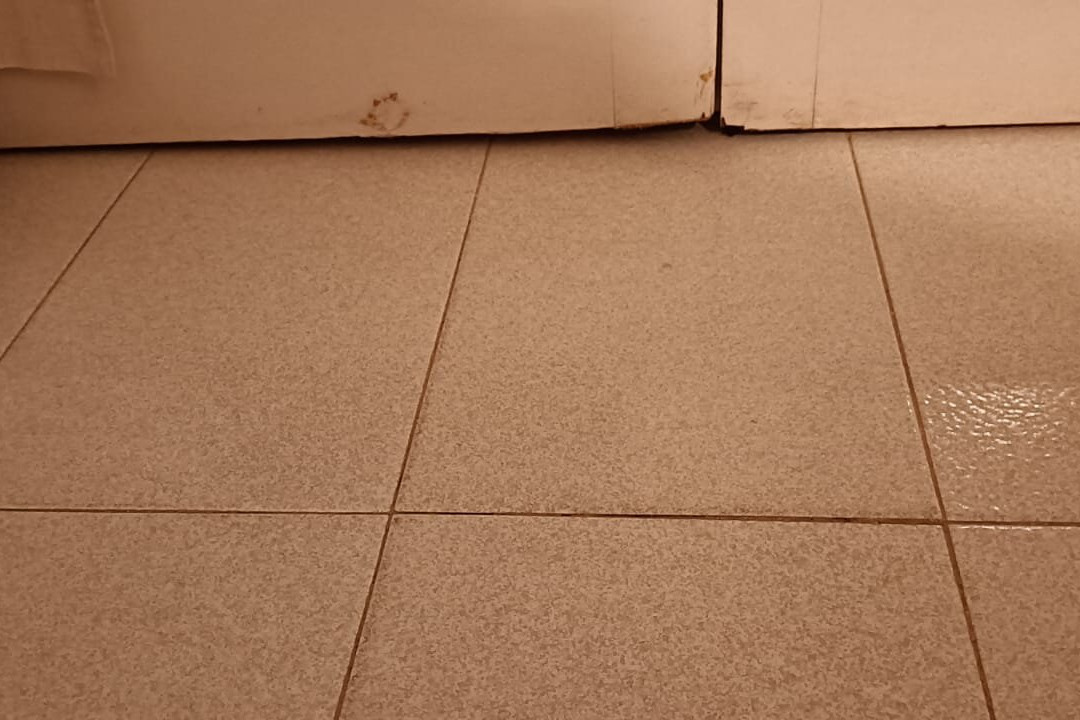 Apartamentos Club Andria主图