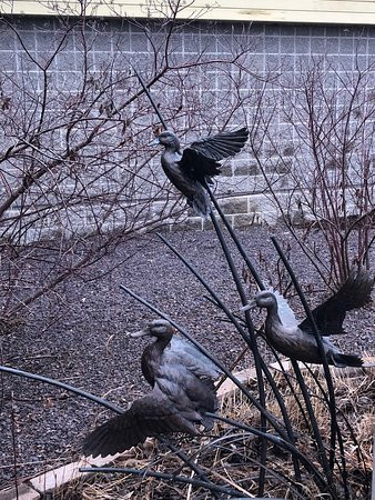 Audubon Center at Riverlands-West Alton必去景点