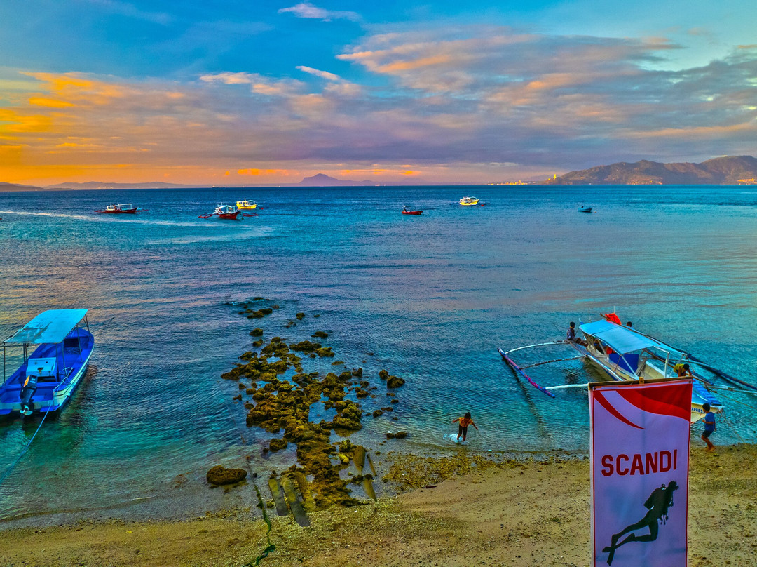 斯堪的潜水员酒店主图