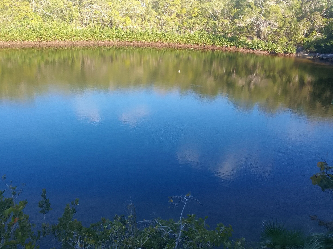 Cottage Pond-North Caicos必去景点