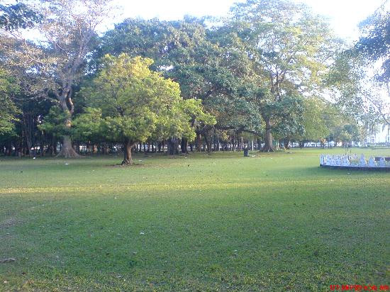 绿色通道-科伦坡必去景点