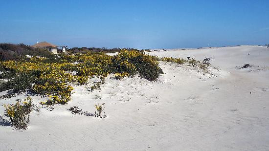 Assateague Island National Seashore-Assateague Island必去景点