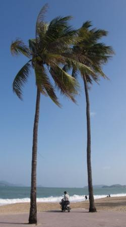 芽庄航海俱乐部-芽庄必去景点