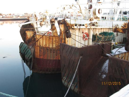 Port of Hafnarfjordur-哈夫纳夫约杜尔必去景点