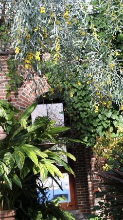New England Botanic Garden at Tower Hill景点图片