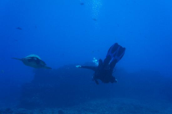 夏威夷岛潜水员-火奴鲁鲁必去景点
