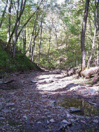 East Fork State Park-Bethel必去景点