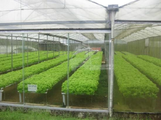 Eden Nature Park-达沃必去景点