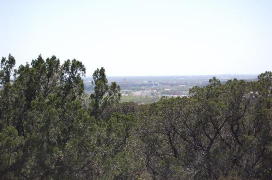 艾森豪威尔公园-圣安东尼奥市必去景点