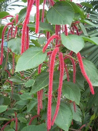 罗杰·威廉姆斯公园-普罗维登斯必去景点