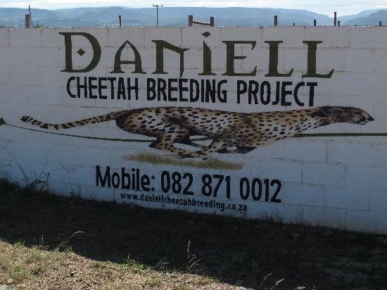 Daniell Cheetah Project景点图片