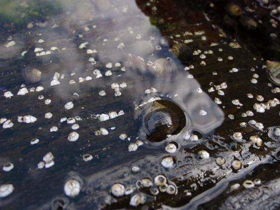 Two Lights State Park-开普伊丽莎白必去景点