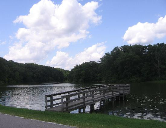 Fort Pillow State Park景点图片
