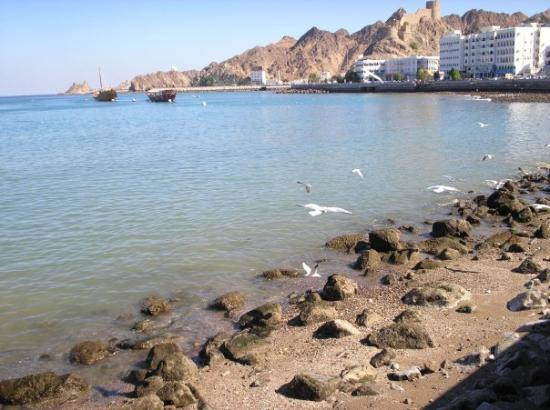 Fish Market-马斯喀特必去景点