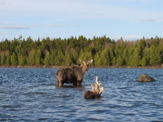 Northwoods Outfitters-Greenville必去景点