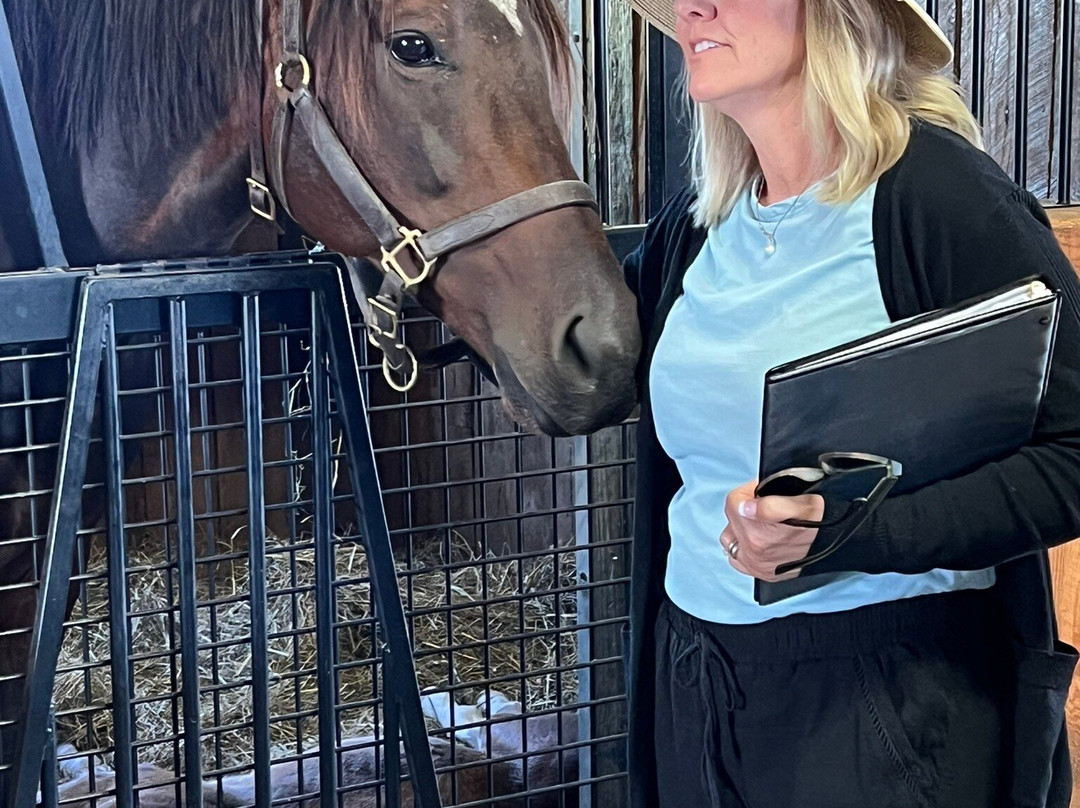 Runnymede Farm-Paris必去景点