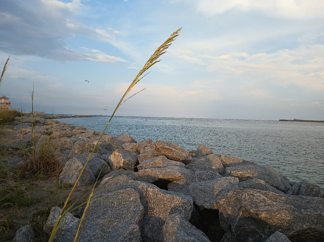 Ponce Inlet Jetty景点图片