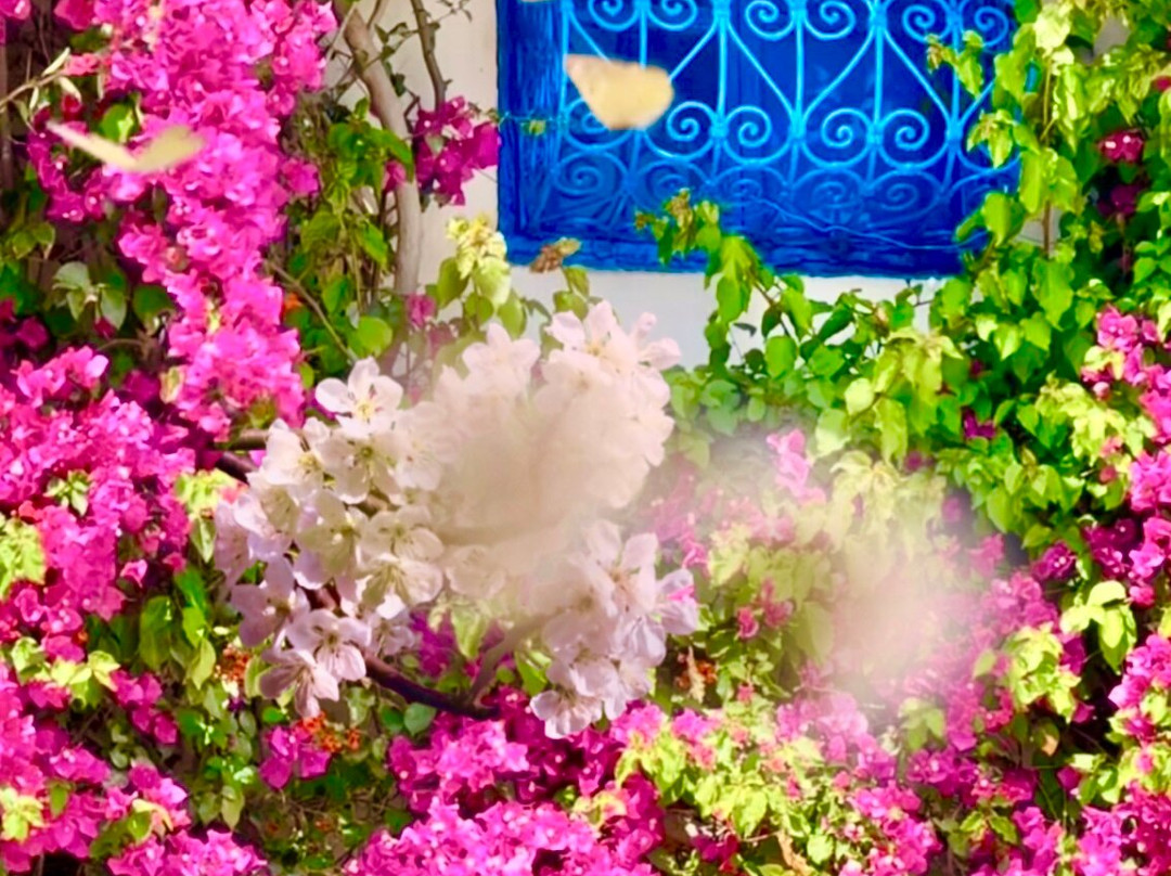 Roger's Gardens景点图片