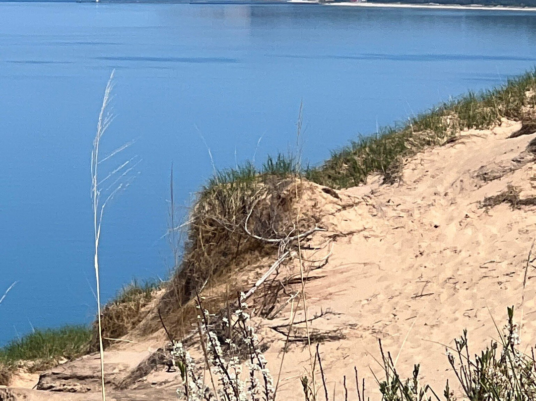 Arcadia Dunes CS Mott Nature Preserve-Arcadia必去景点