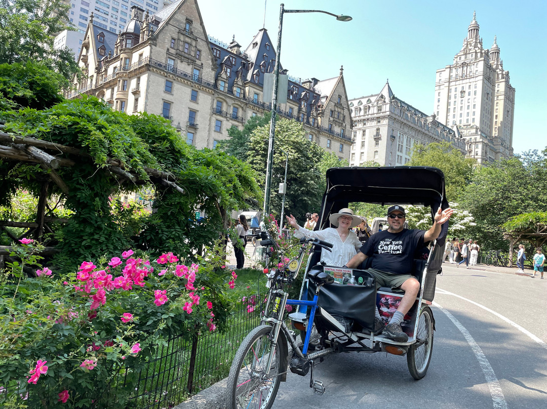 Central Park Tours & Bike Rentals景点图片