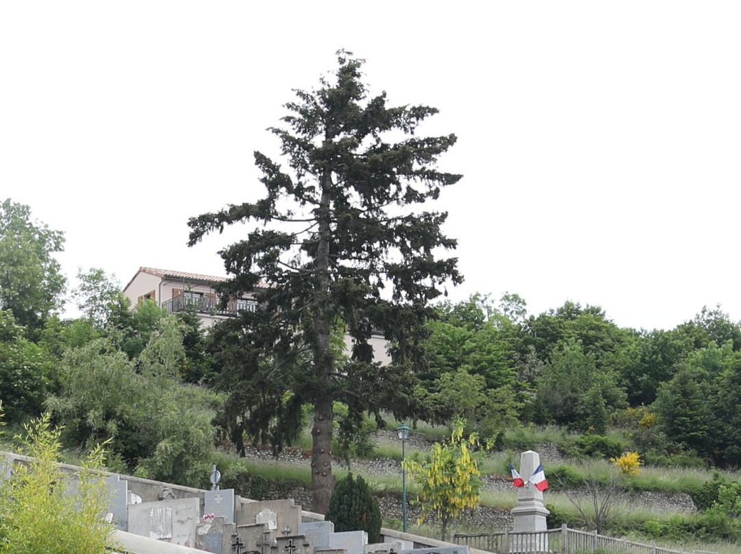 Monument aux morts de Chalençon-Chalencon必去景点