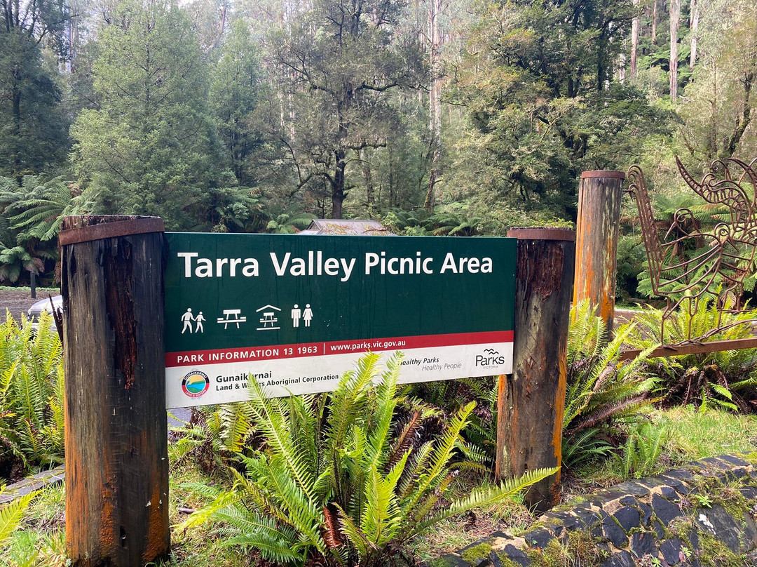 Cyathea Falls-Tarra Valley必去景点