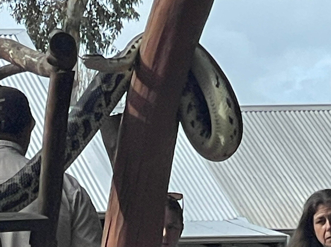 Bunbury Wildlife Park-班伯利必去景点