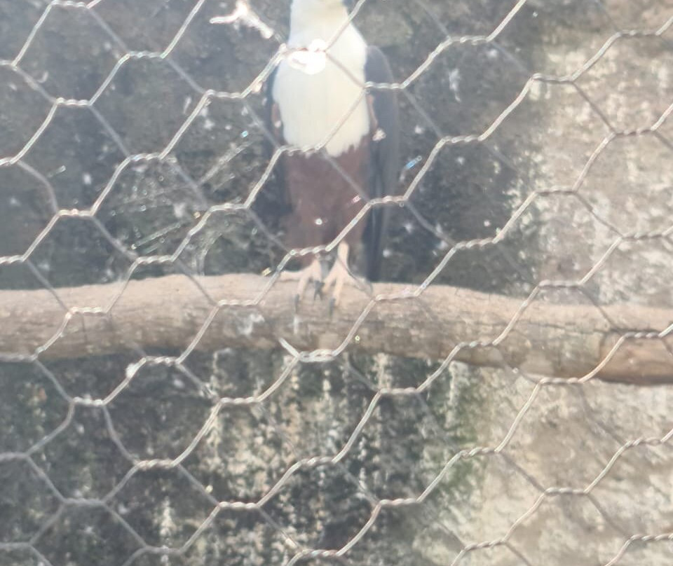 Kuimba Shiri Bird Sanctuary景点图片