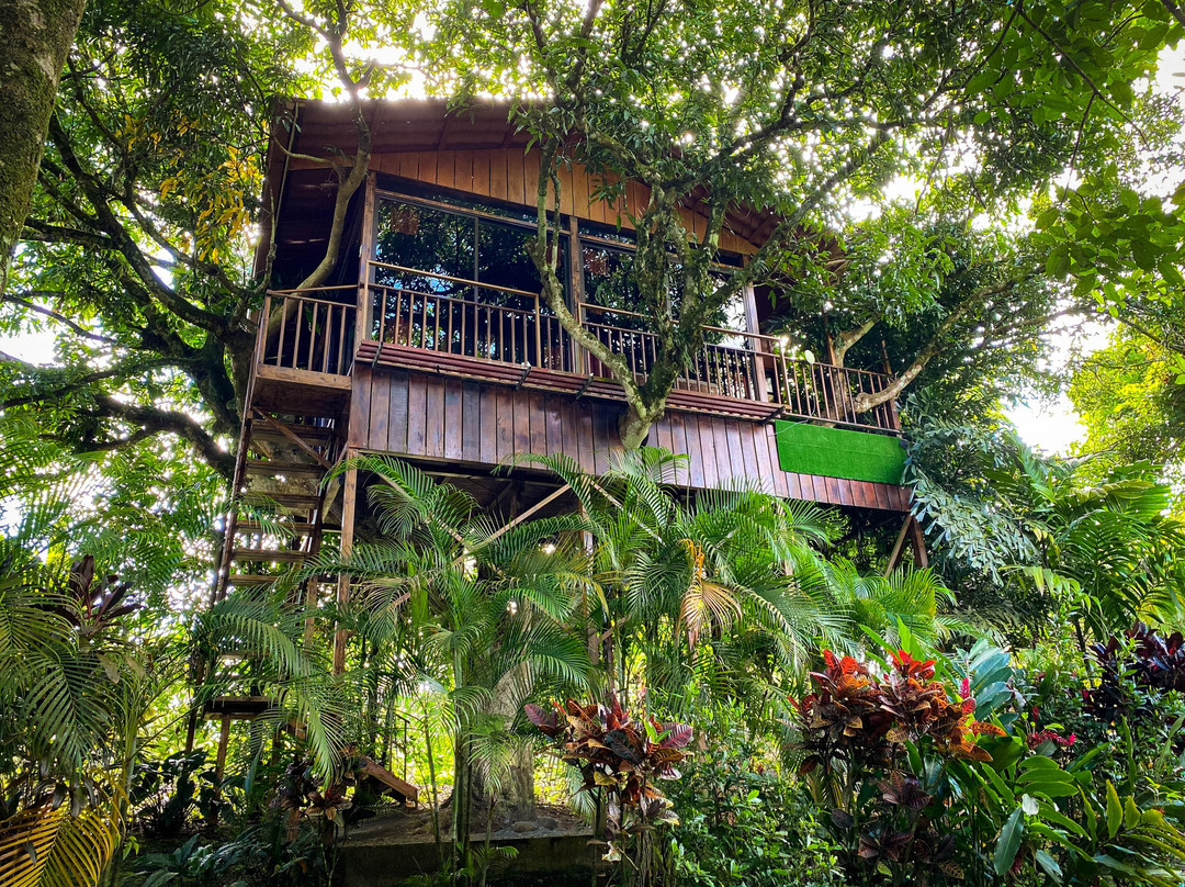 Heliconias Nature Inn & Hot Springs主图