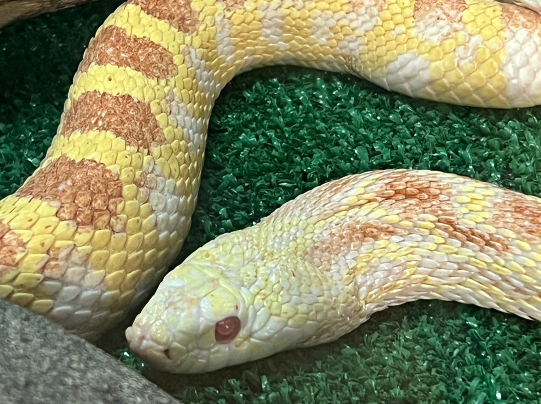 Pioneer Park Nature Center-林肯必去景点