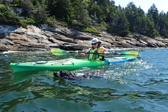 Abkenoc Guiding- Kayaking and Fishing in mid-coast Maine景点图片
