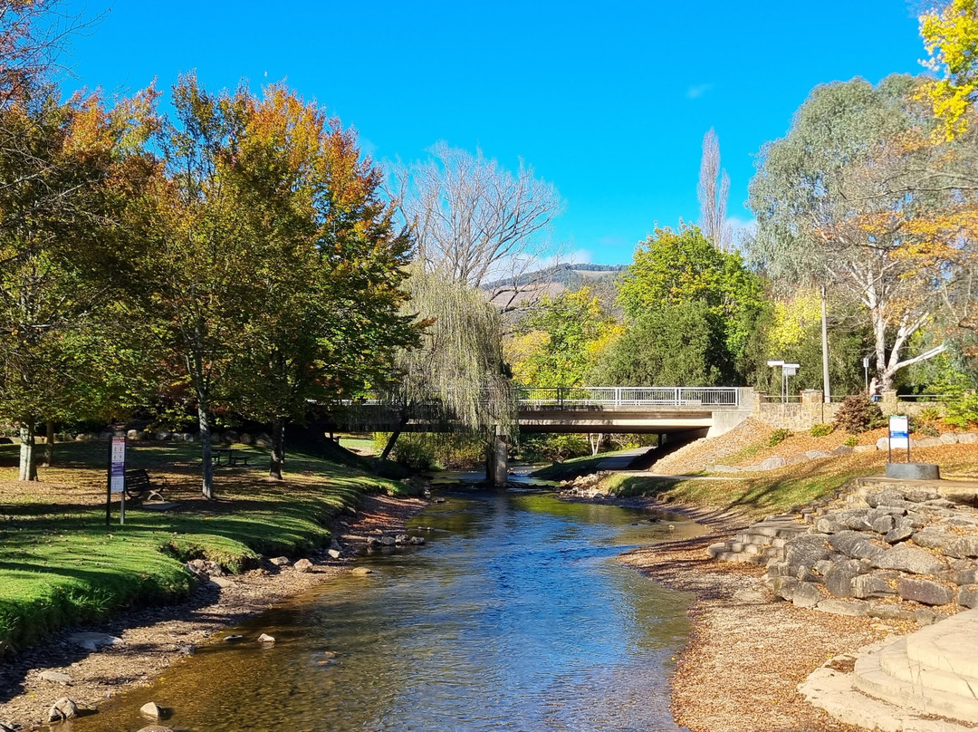 Cherry Walk Nature Trail-布赖特必去景点
