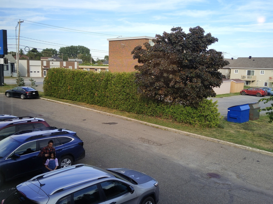 Comfort Inn Rimouski主图