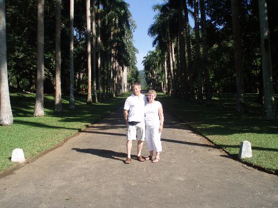 Henerathgoda Botanical Garden景点图片