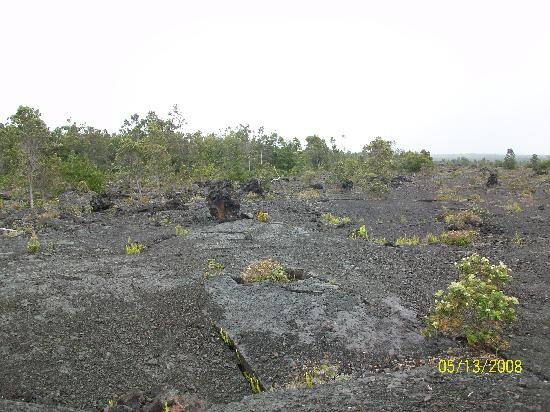 废墟观景路线-夏威夷火山国家公园必去景点