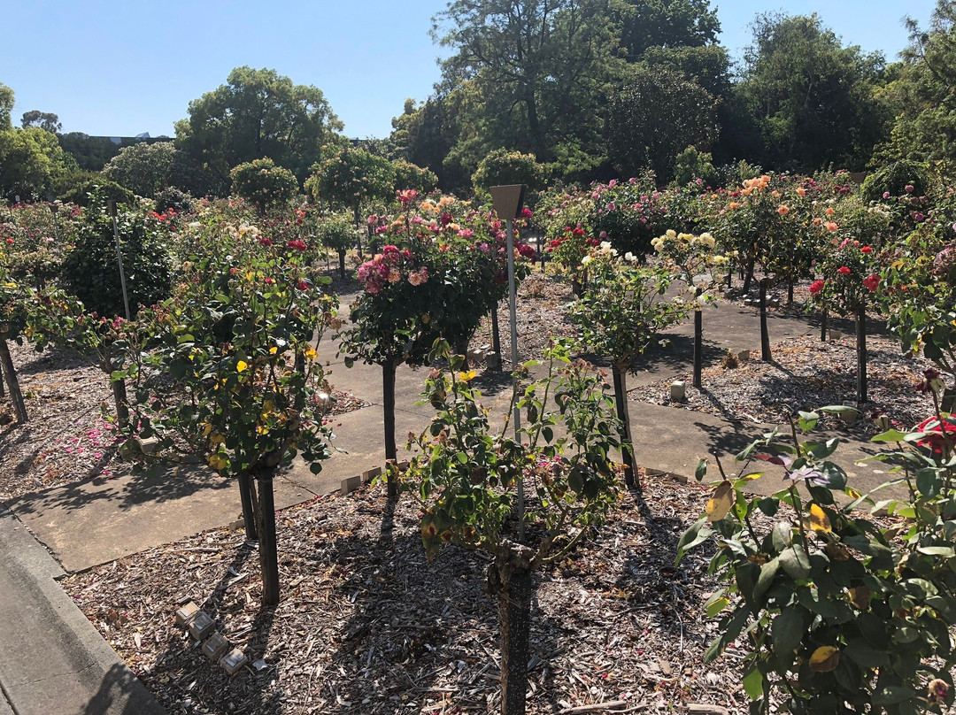 Springvale Botanical Cemetery景点图片