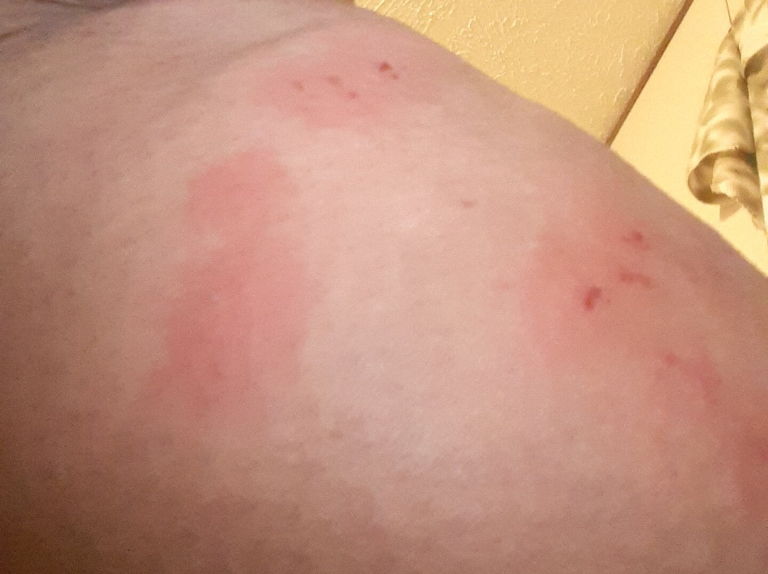 The Micanopy Inn主图