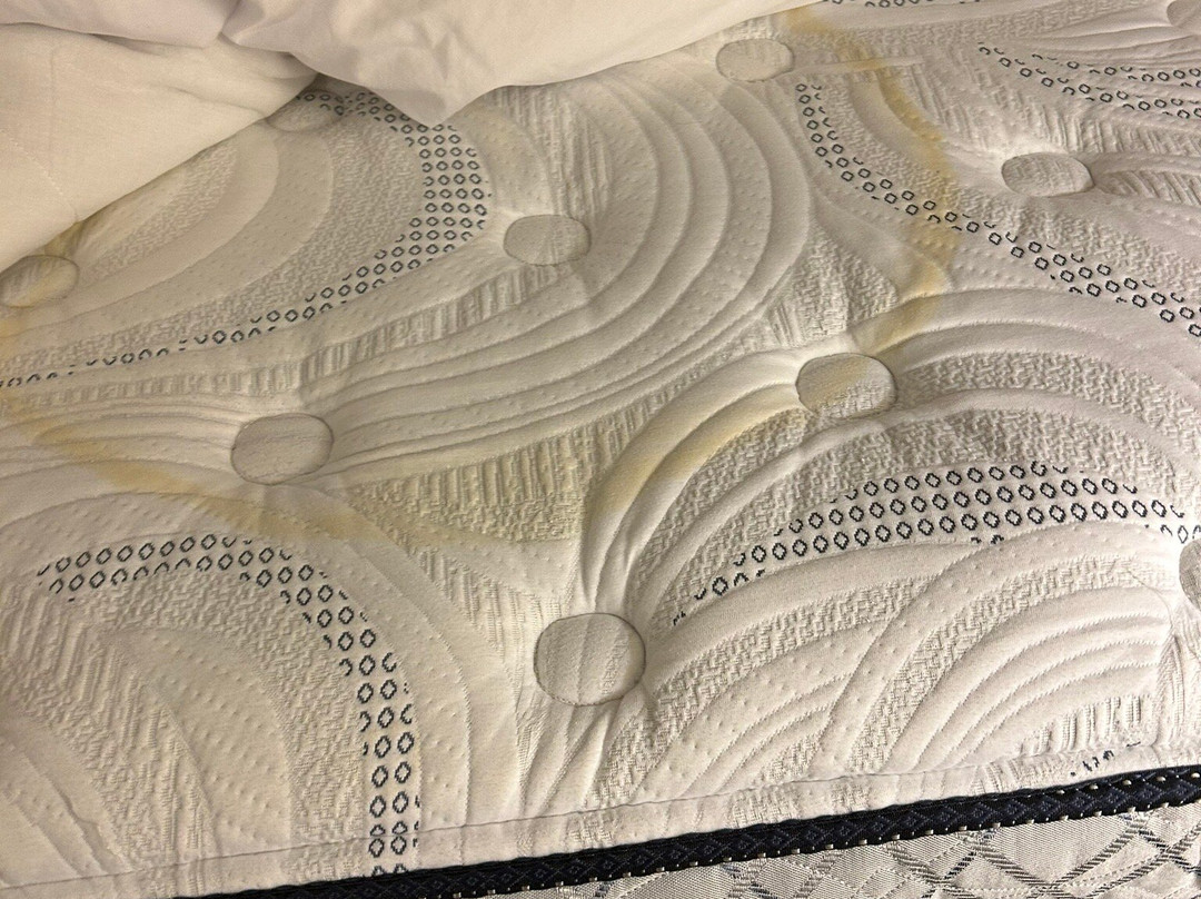 雷丁希尔顿花园酒店主图