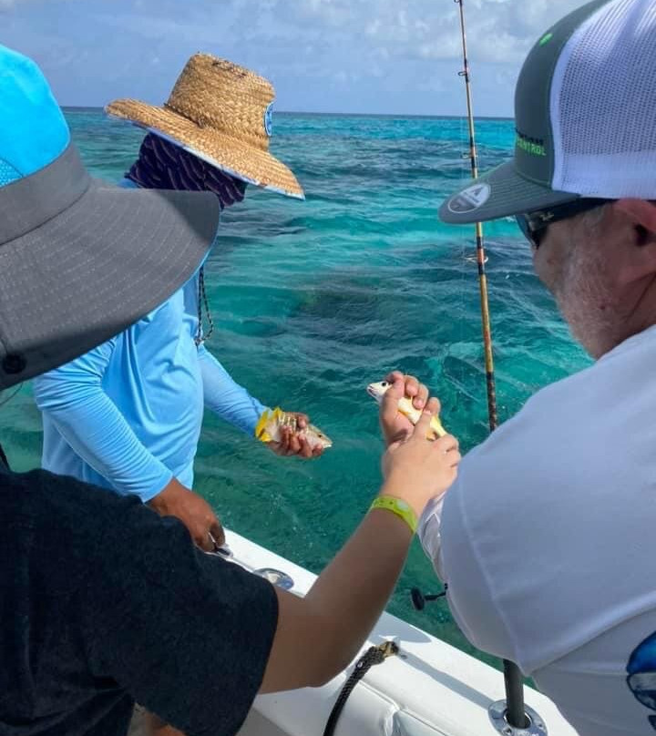 Reel Vibes Charters-西湾必去景点