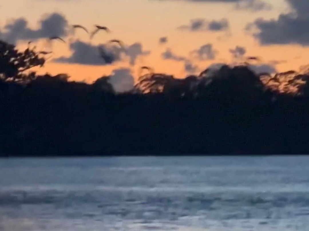 Parkway Motel & Marina主图