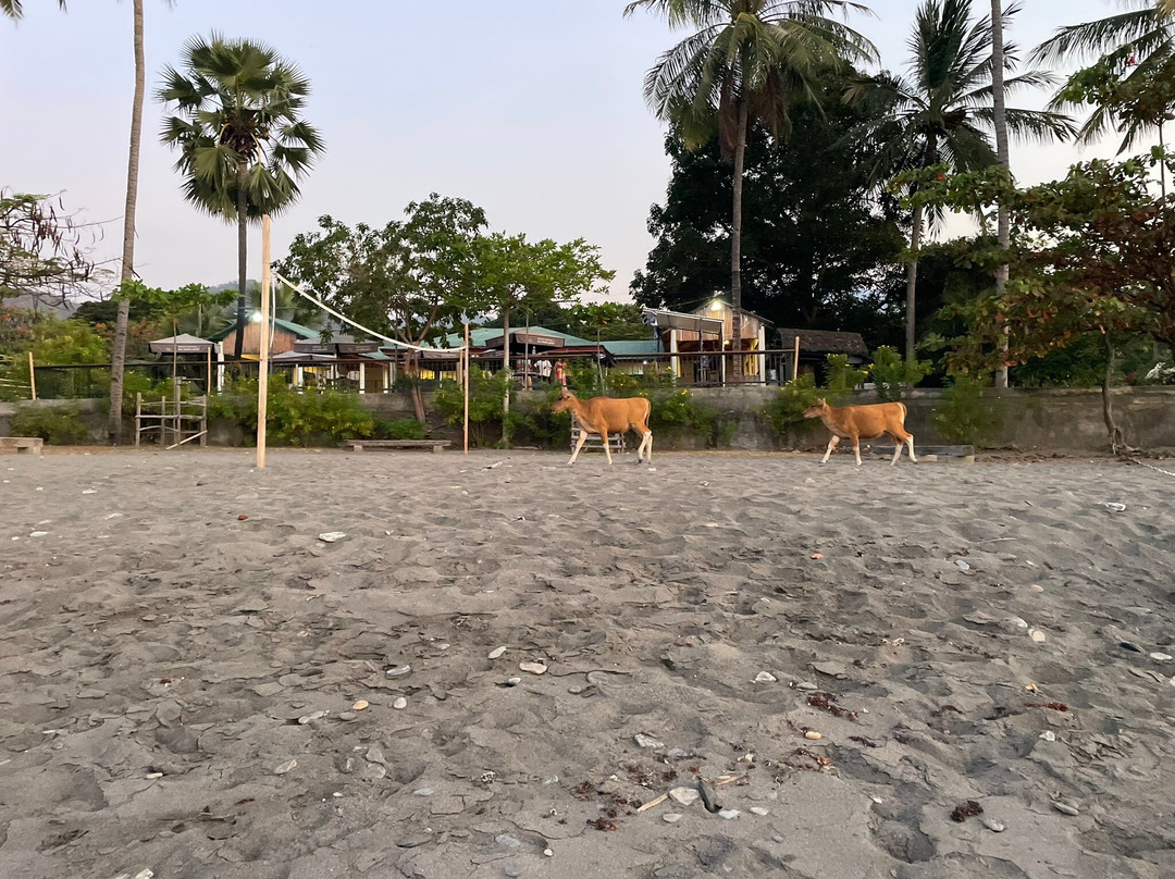 Lauhata Beach Escape主图