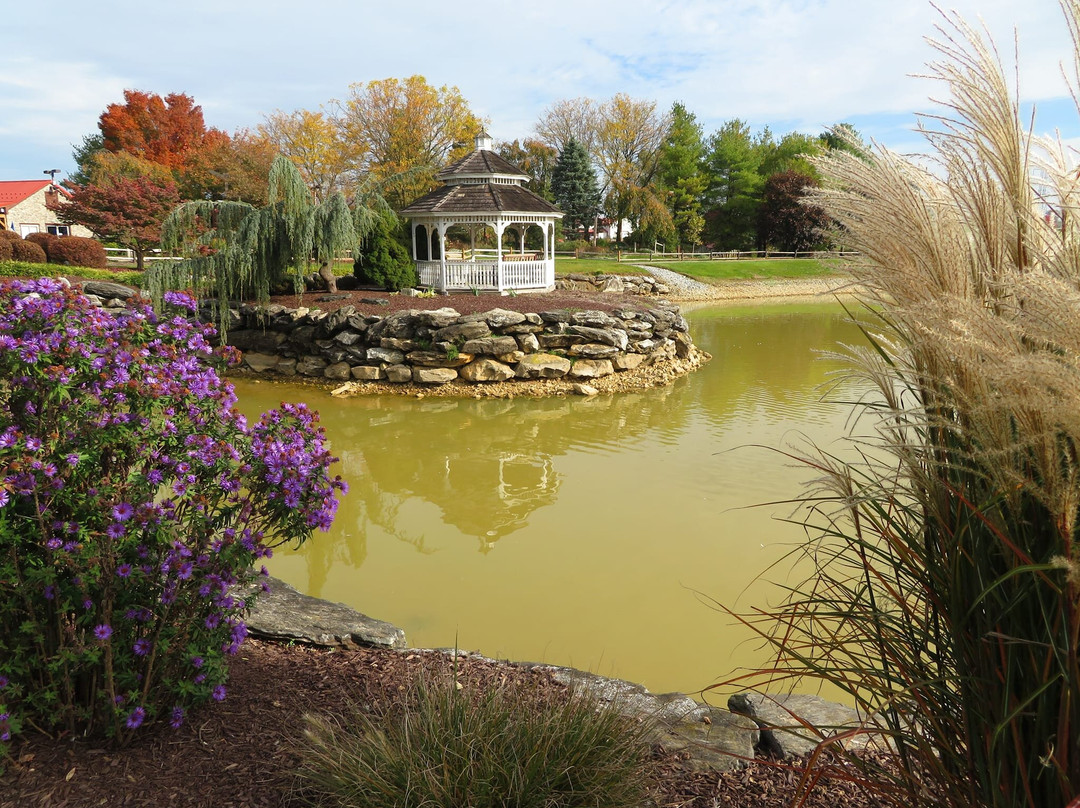 Bird-In-Hand Family Inn主图