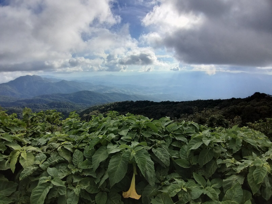 Eco Tours Chiang Mai