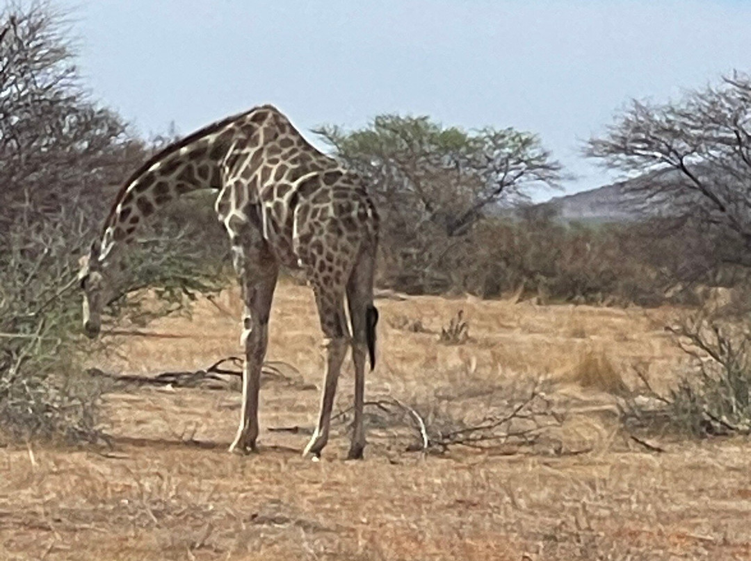 Namibia Holidays Tours & Safaris-Oshakati必去景点