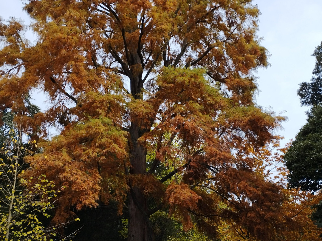 Jardin Des Plantes Toulouse-图卢兹必去景点