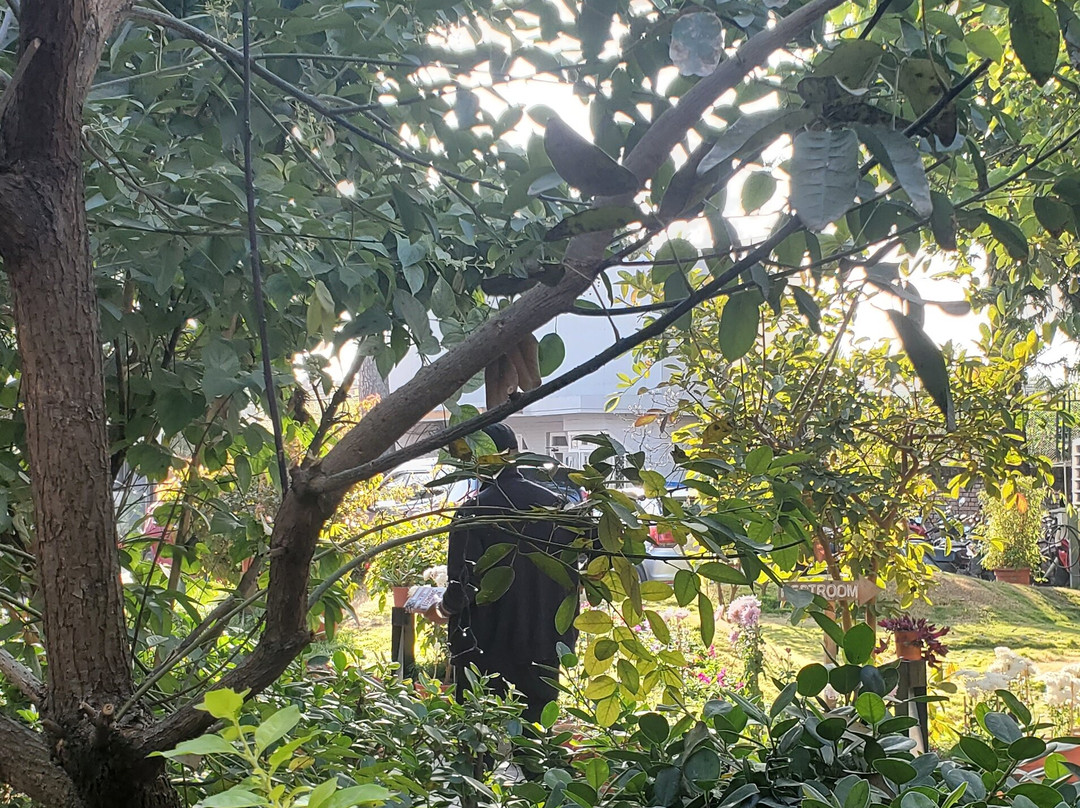 Avata Wellness Center-加德满都必去景点